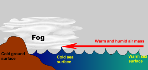 Fog Explained｜Hong Kong Observatory(HKO)｜Educational Resources