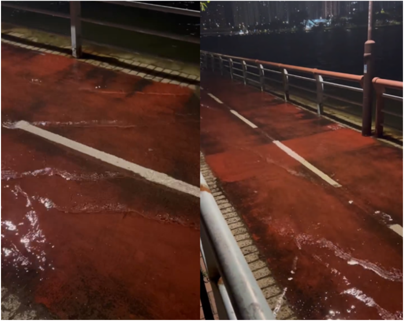 Minor flooding occurred over the cycle tracks near Shing Mun River in Sha Tin in the small hours on 11 November 2025. (Courtesy of 黃明德 Dark)