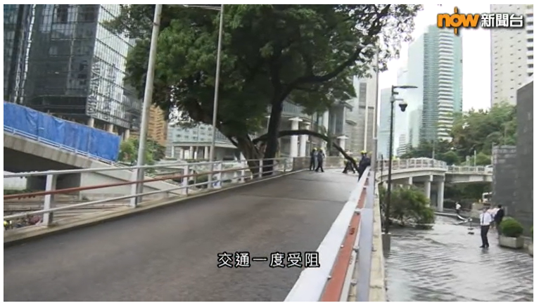 A broken branch blocked the only lane of Cotton Tree Drive slip road towards Central. (Courtesy of Now News).