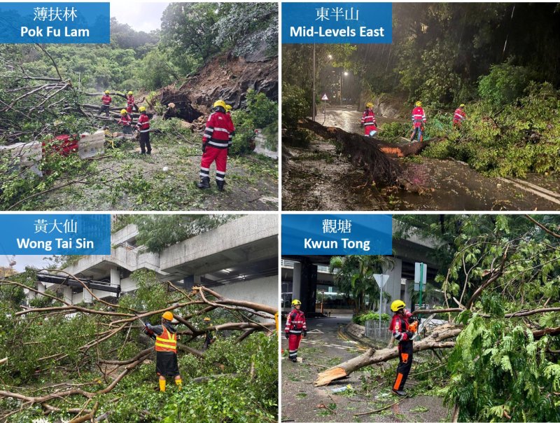 During the passage of Ragasa, many roads in Hong Kong were blocked by fallen trees. (Courtesy of Fire Services Department (top left, right and bottom right) and Highways Department (bottom left))
