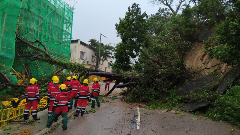 During the passage of Ragasa, a landslide occurred on Wong Ma Kok Road in Stanley. (Courtesy of Geotechnical Engineering Office)