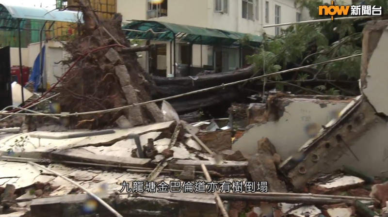 During the passage of Ragasa, the wall of a detached house in Kowloon Tong was damaged by a fallen tree. (Courtesy of Now News)