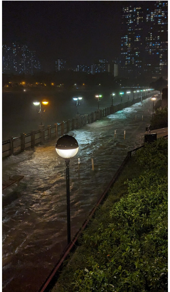 Shing Mun River in Sha Tin was flooded due to storm surge induced by Saola. (Courtesy of Poon Chi Ming)