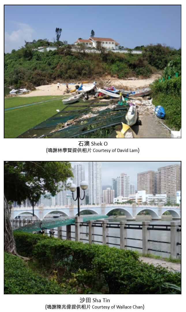 Vessels of various sizes were stranded, sunk or seriously damaged during the passage of Mangkhut.