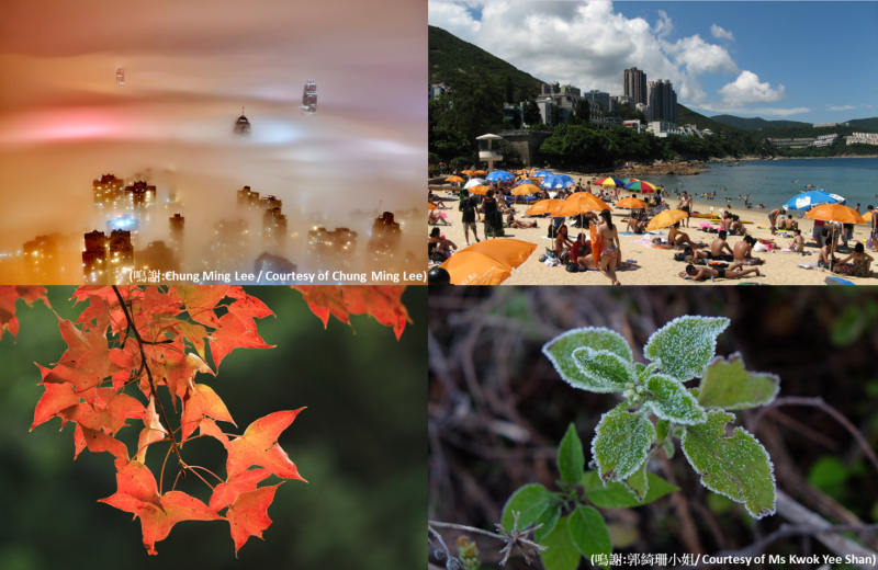 Figure 2. Four seasons in Hong Kong.