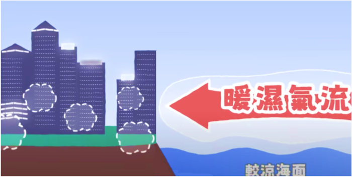圖二 當暖濕空氣遇上較涼的海面冷卻而達到飽和，凝結成小水滴，形成薄霧或霧，使能見度下降。