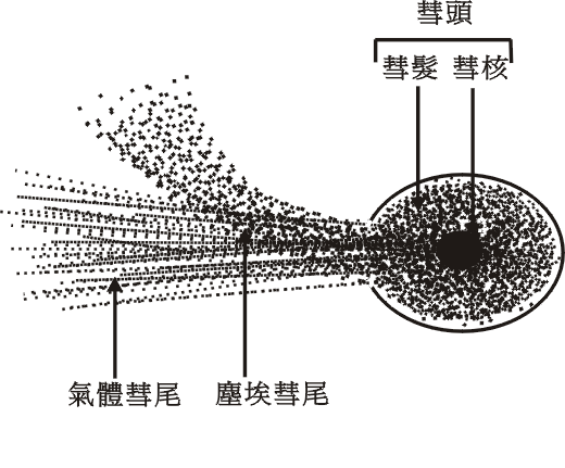 圖二  彗星的結構